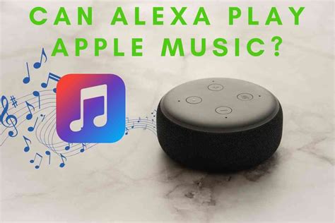 Can I Play Apple Music on Alexa? And Why Do Pineapples Never Wear Sunglasses?